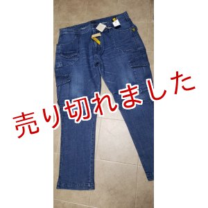 画像: 寅壱「TORAnsformed BUSH PANTS」